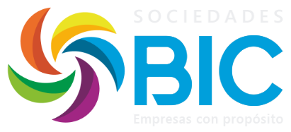 BIC Companies logo